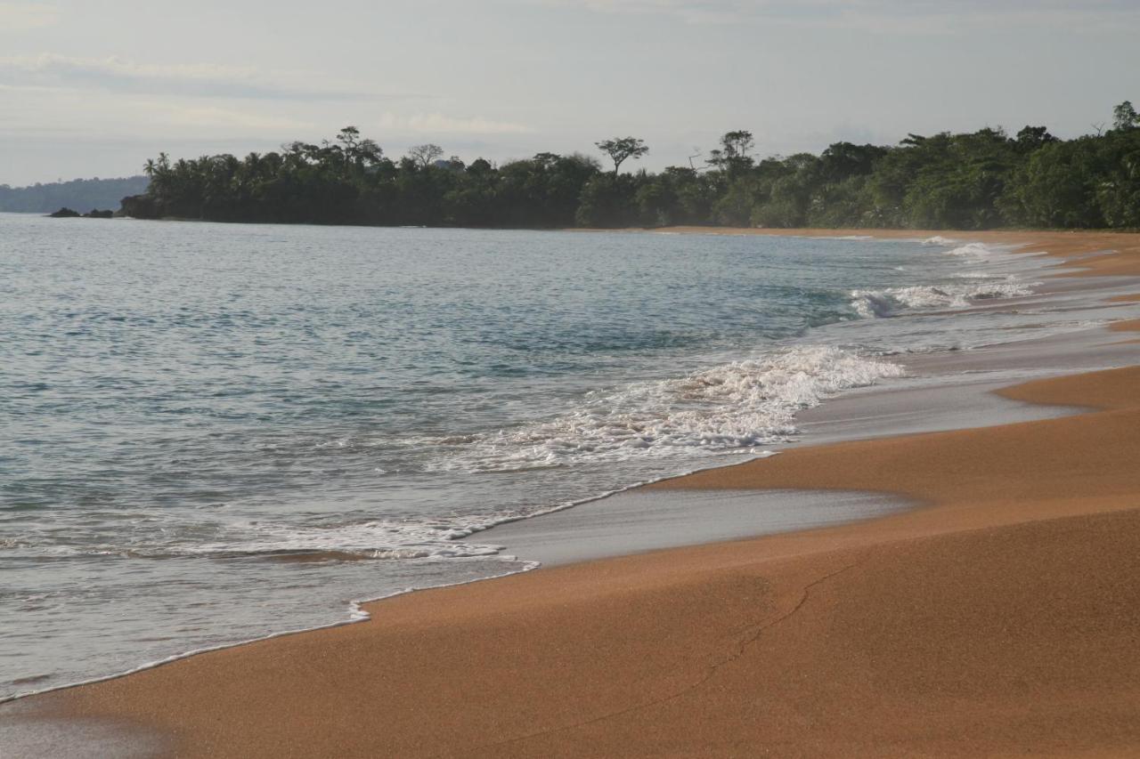Bluff Beach Retreat Μπόκας ντελ Τόρο Εξωτερικό φωτογραφία