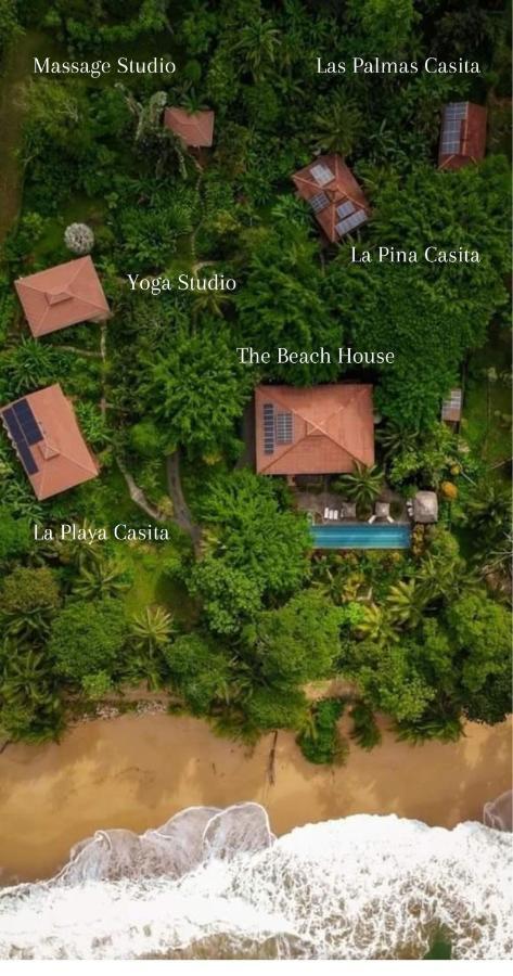 Bluff Beach Retreat Μπόκας ντελ Τόρο Εξωτερικό φωτογραφία