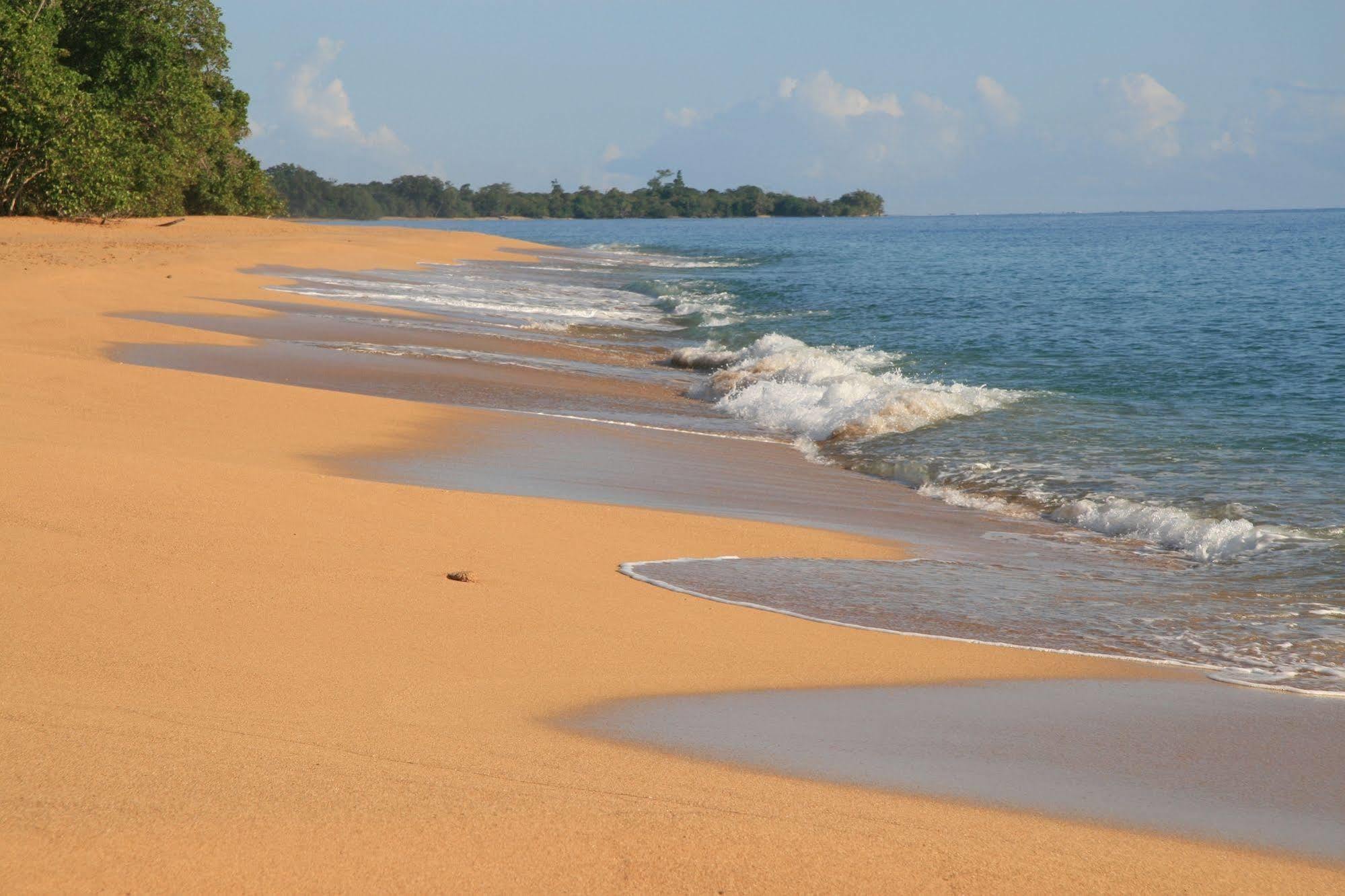 Bluff Beach Retreat Μπόκας ντελ Τόρο Εξωτερικό φωτογραφία